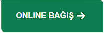 Online Bağış